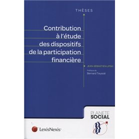 contribution a l etude des dispositifs de la participation financiere