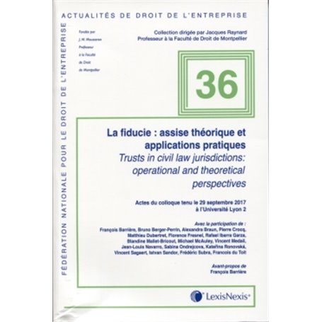 la fiducie assise theorique et applications pratiques