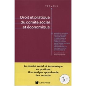 droit et pratique du comite social et economique