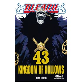 Bleach - Tome 43