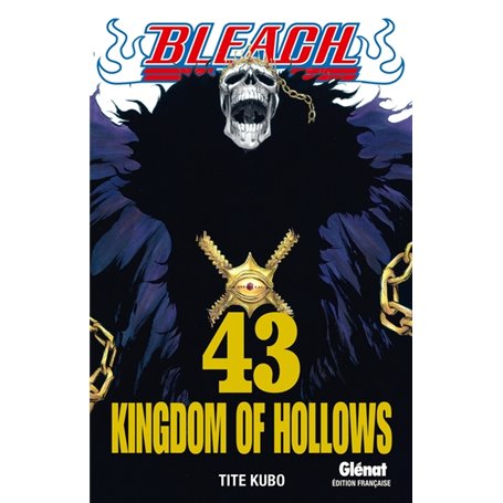 Bleach - Tome 43