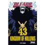 Bleach - Tome 43