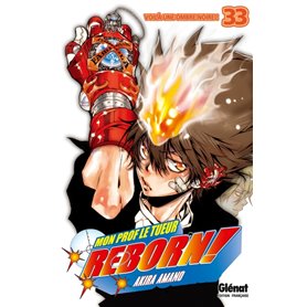 Reborn - Tome 33