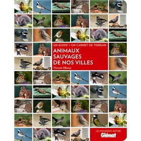 Animaux sauvages de nos villes