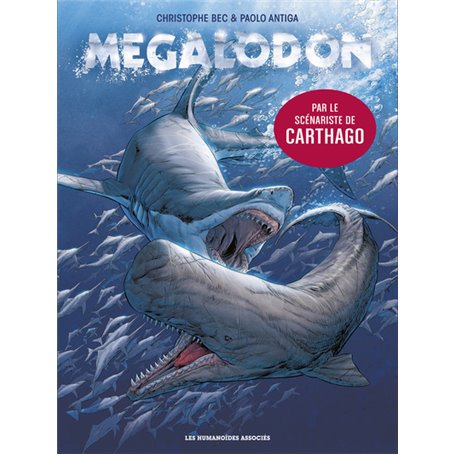 Mégalodon