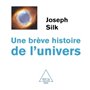 Une brève histoire de l'Univers