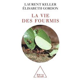 La Vie des fourmis