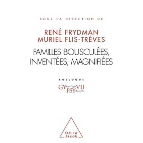 Familles bousculées, inventées, magnifiées