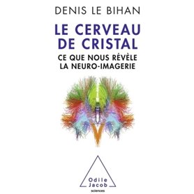 Le Cerveau de cristal