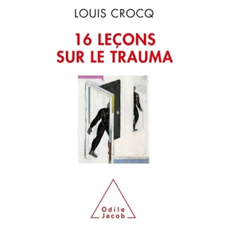 16 leçons sur le trauma