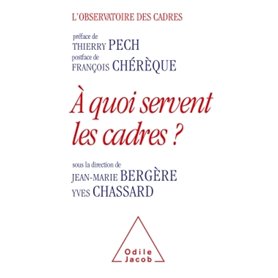 À quoi servent les cadres ?