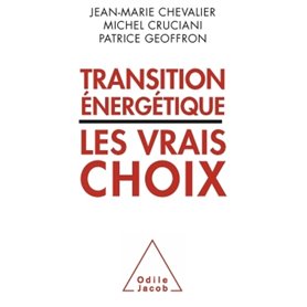 Transition énergétique : les vrais choix