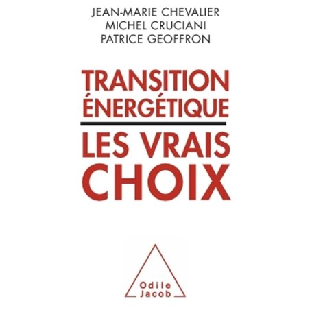 Transition énergétique : les vrais choix