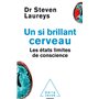 UN SI BRILLANT CERVEAU