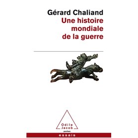 Une histoire mondiale de la guerre