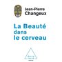 La beauté dans le cerveau