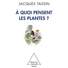 A quoi pensent les plantes ?