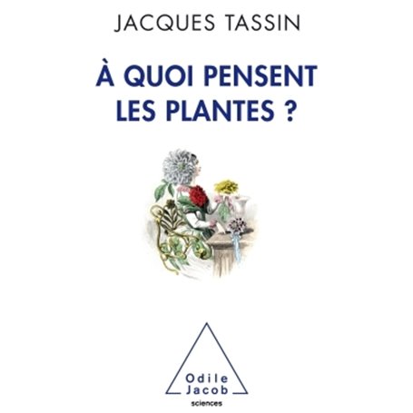 A quoi pensent les plantes ?