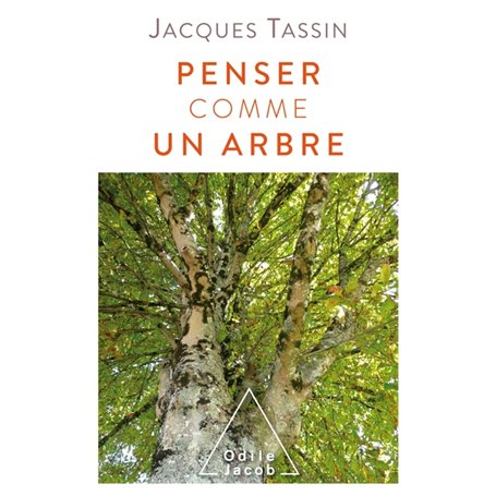 Penser comme un arbre