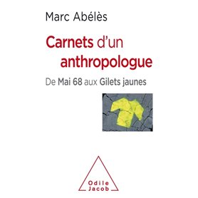 Carnets d'un anthropologue