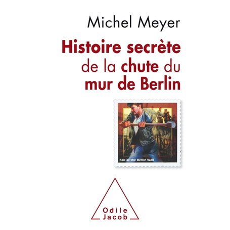 Histoire secrète de la chute du mur de Berlin-NE