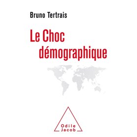 Le choc démographique