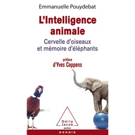 L'Intelligence animale