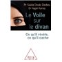 Le Voile sur le divan