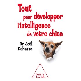 Tout pour développer l'intelligence de votre chien