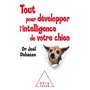 Tout pour développer l'intelligence de votre chien