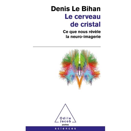 Le Cerveau de cristal