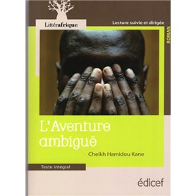 L'aventure ambiguë