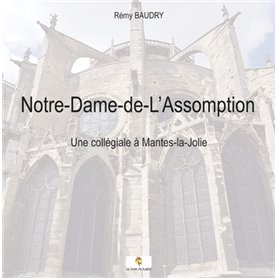 Notre-Dame-de-L'assomption - Une collégiale à Mantes-la-Jolie