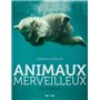 Animaux merveilleux en danger