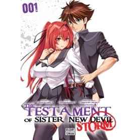 The Testament of sister new devil storm T01