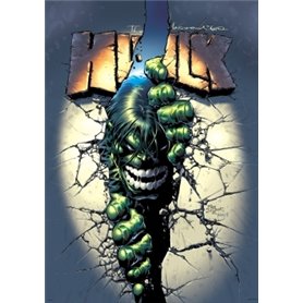 Hulk par Jones et Deodato Jr T02