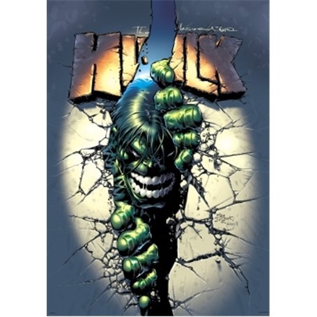 Hulk par Jones et Deodato Jr T02