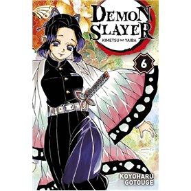 Demon Slayer T06