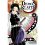 Demon Slayer T06