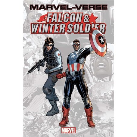 Marvel-Verse: Falcon & Winter Soldier