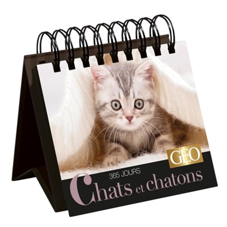 365 jours Chats et chatons  - Calendrier Géo