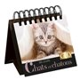 365 jours Chats et chatons  - Calendrier Géo