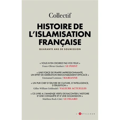 Histoire de l'islamisation française