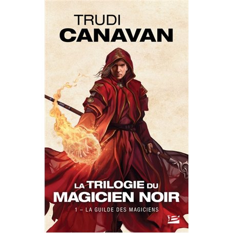 La Trilogie du magicien noir, T1 : La Guilde des magiciens