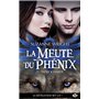 La Meute du Phénix, T7 : Patrick Hardy