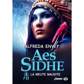 Aes Sidhe, T1 : La Meute maudite