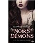 Noirs démons, T5 : Le Feu sous la cendre