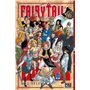 Fairy Tail T06