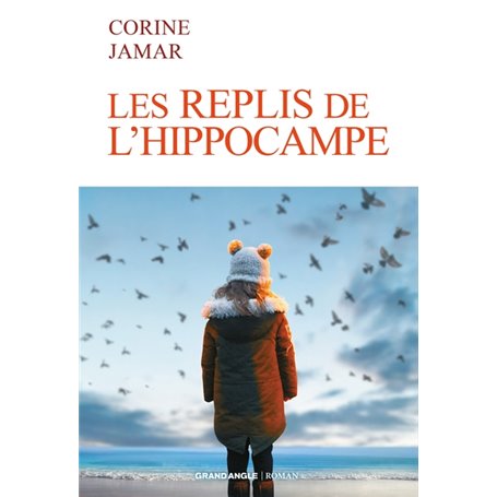 Roman - Les replis de l'hippocampe