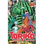 Toriko T31